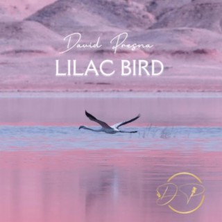 Lilac Bird