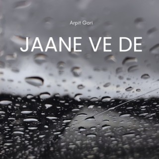 Jaane Ve De