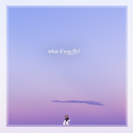 what if you fly? | Boomplay Music