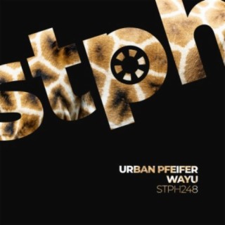 Urban Pfeifer