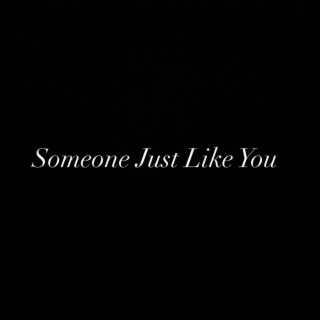 Someone Just Like You