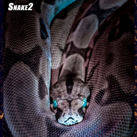 Snake2 | Boomplay Music