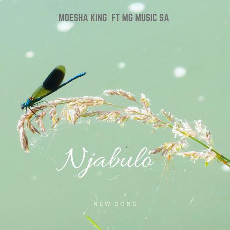 Njabulo ft. Moesha King | Boomplay Music