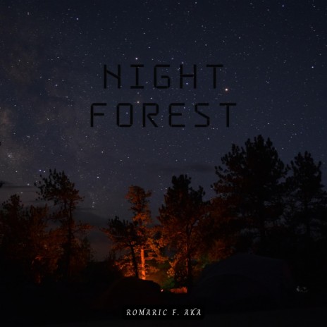 Night Forest | Boomplay Music
