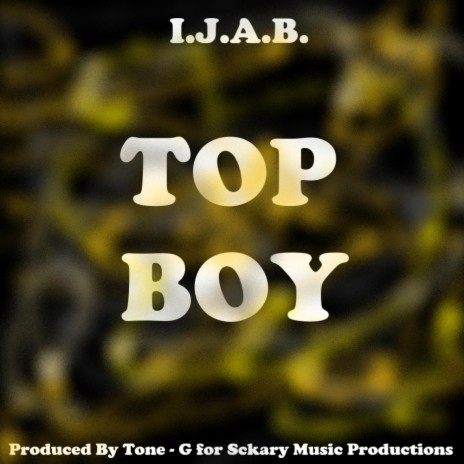 Top Boy ft. Rob Ill & Tone Dash G | Boomplay Music