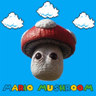 Mario Mushroom