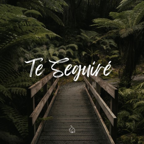 Te seguiré | Boomplay Music