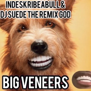 Big Veneers ft. Dj Suede The Remix God lyrics | Boomplay Music