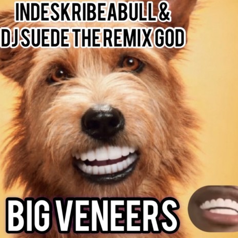 Big Veneers ft. Dj Suede The Remix God | Boomplay Music