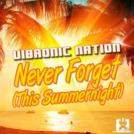 Never Forget (This Summernight) | Boomplay Music