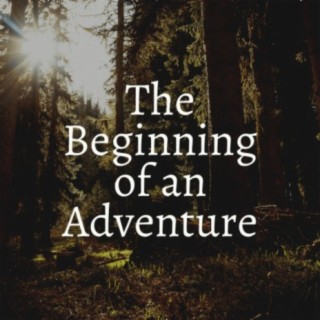 The Beginning of an Adventure