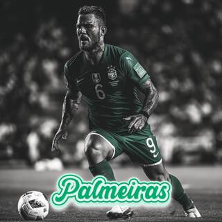 Palmeiras FC Ultras