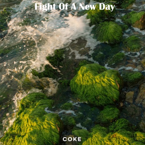 Fight Of A New Day | Boomplay Music