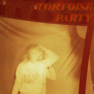 Tortoise Party | Boomplay Music