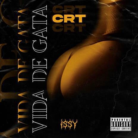 Vida de gata ft. issy | Boomplay Music