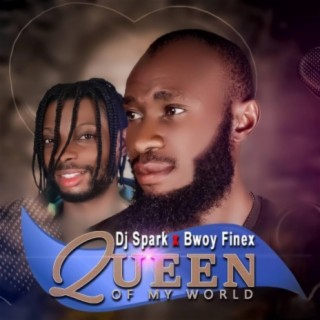 Queen Of My World ft. Dj Spark lyrics | Boomplay Music