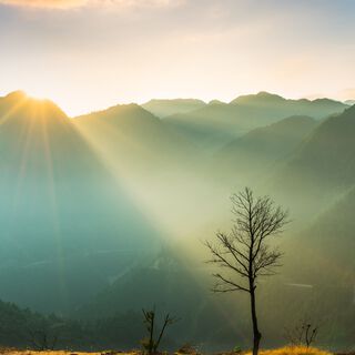 Meditación Zen de Primera Luz (secuencia en bucle)