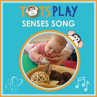 Senses Song