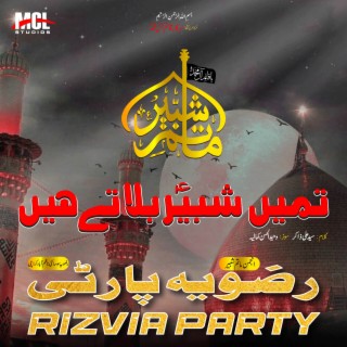 Rizvia Party