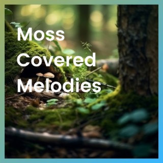 Moss-Covered Melodies