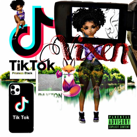 TikTok Vixen | Boomplay Music