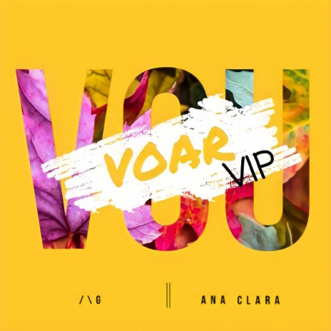 Vou voar(VIP) ft. Ana Clara