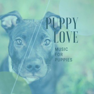 Puppy Love: Music for Puppies (Deluxe Edition)
