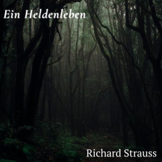 Ein Heldenleben (Violin Solo)