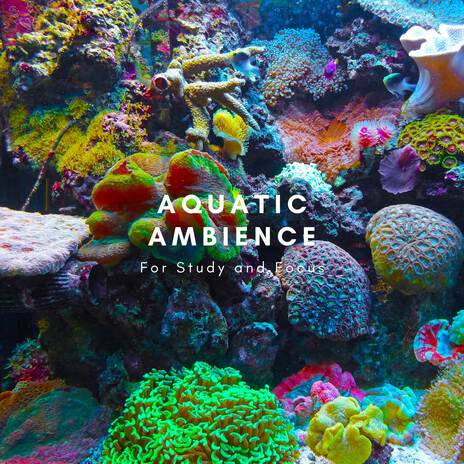 Ambient Aquarium | Boomplay Music