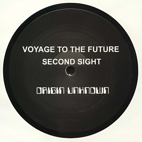 Voyage To The Future | Boomplay Music