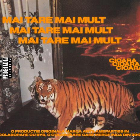 MAI TARE MAI MULT ft. Byb | Boomplay Music