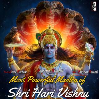 Powerful Mantra Of Shri Hari Vishnu