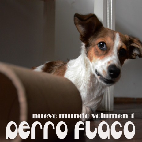 Perro Flaco