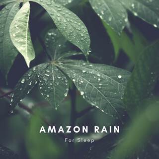 Amazon Rain for Sleep