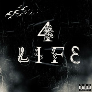 4LIFE ft. babyextendo lyrics | Boomplay Music