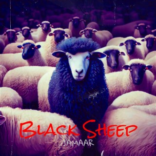 Black Sheep