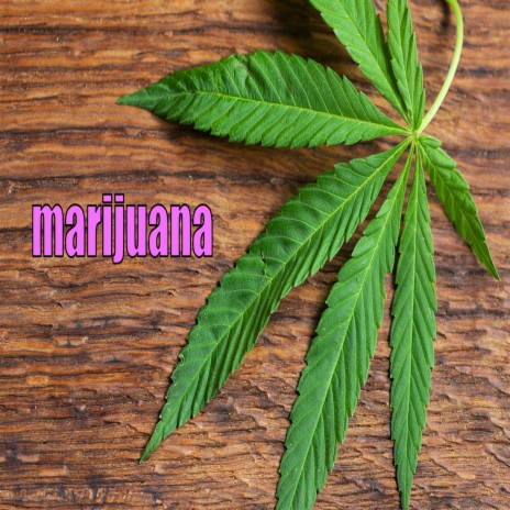 marijuana | Boomplay Music