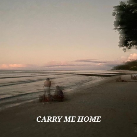 Carry me home | Boomplay Music