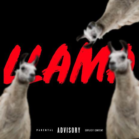 Llama ft. Neto Pack & 845 Daudi | Boomplay Music