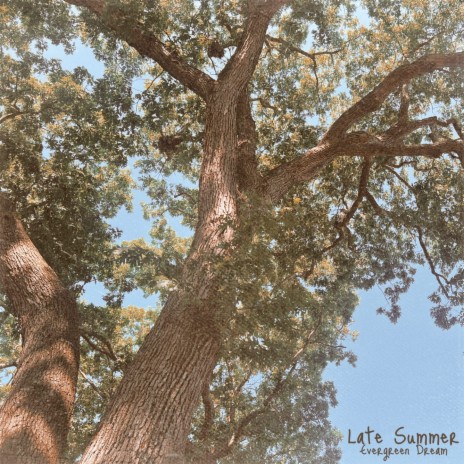 Late Summer | Boomplay Music