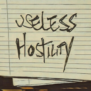 Useless Hostility