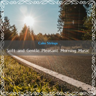 Soft and Gentle Pleasant Morning Music