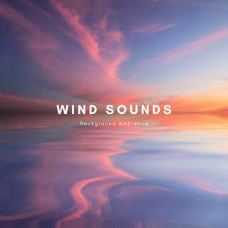 Wind Sounds Background Ambience