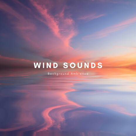 Trees in the Wind ft. Nature Sound Collection & Natural Sounds Selections