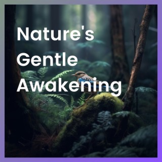 Nature's Gentle Awakening
