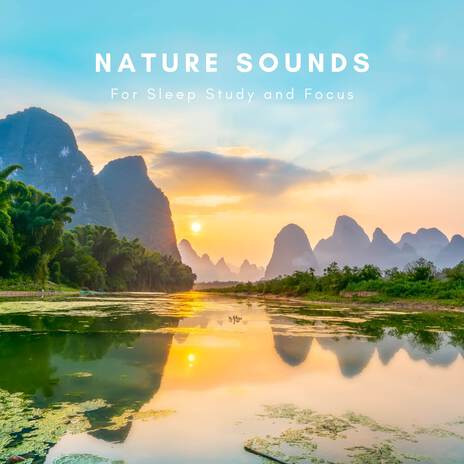 Singing Robin ft. Natural Sounds Selections & Nature Sound Collection | Boomplay Music