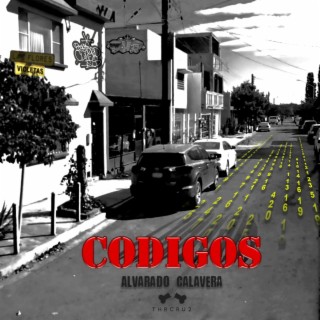 Codigos