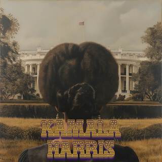 Kamal Harris The Next President