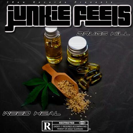 Junkie Feels | Boomplay Music