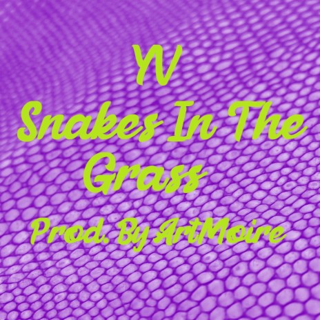 Snakes In The Grass | Boomplay Music